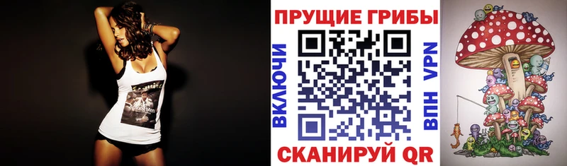 Галлюциногенные грибы GOLDEN TEACHER  Купить  Красноперекопск 